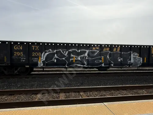 GNTX295208