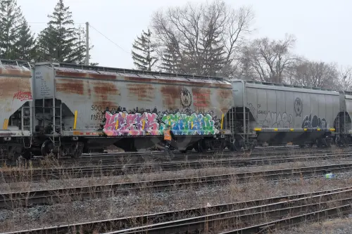 SOO119133