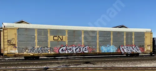 Train photo
