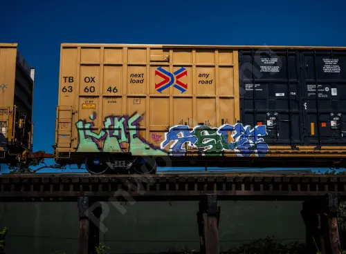 TBOX636046
