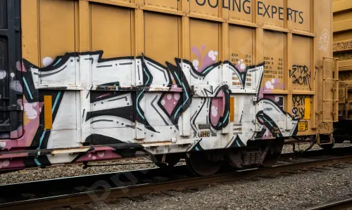 TBOX642773