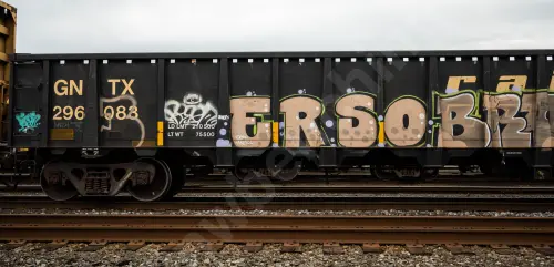 GNTX296083