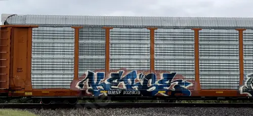 BNSF302909