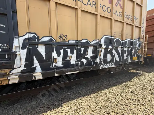 TBOX638340