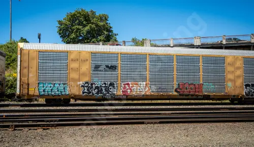 Train photo
