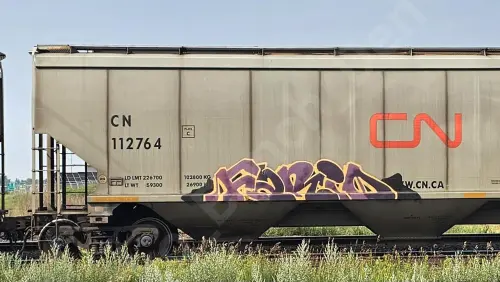 CN112764