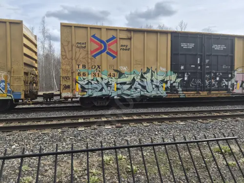 TBOX663143