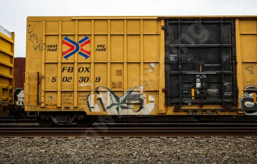 FBOX502309
