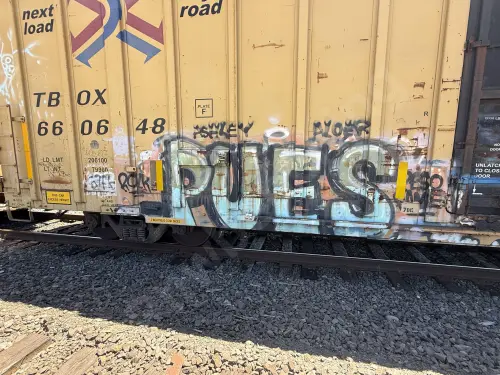 TBOX660648