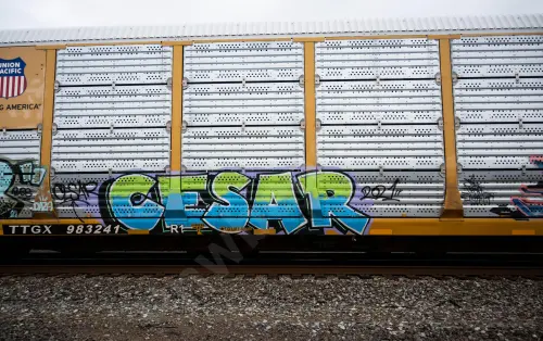 Train photo