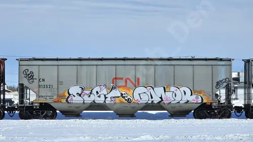 CN113521