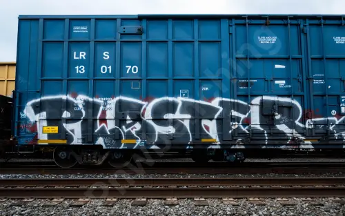 LRS130170