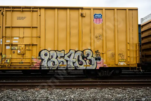 UP700061