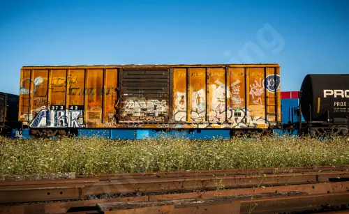RBOX37342
