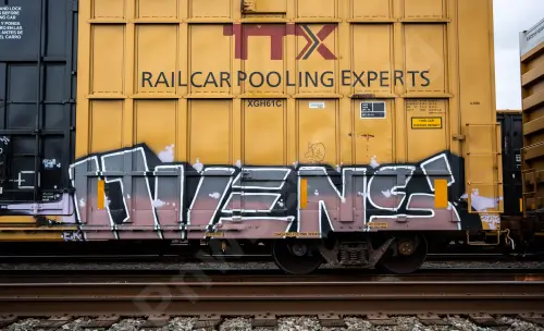 TBOX632384