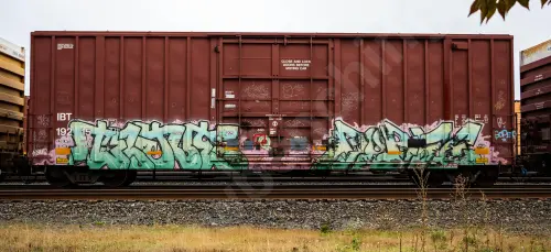 IBT19215