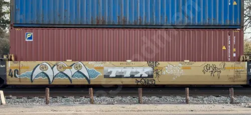 DTTX743276