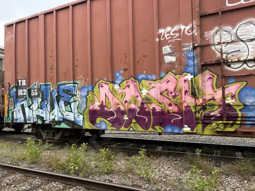 Photo