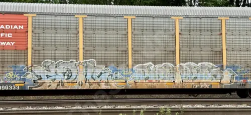 TTGX996333
