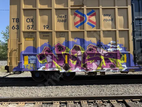 TBOX635719