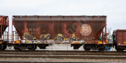 BNSF409313