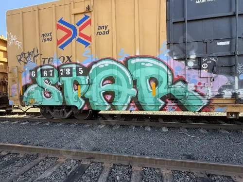 TBOX667785