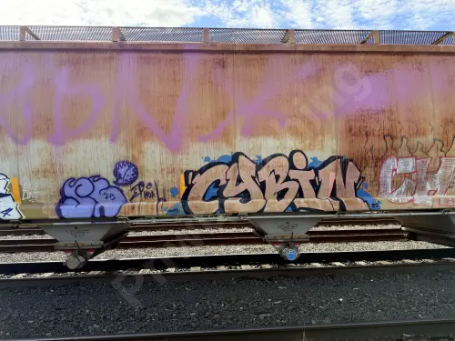 DNAX585142
