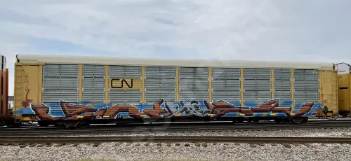 Train photo