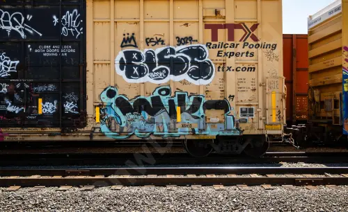 FBOX505119