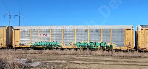 Train photo