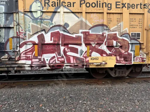 FBOX506200