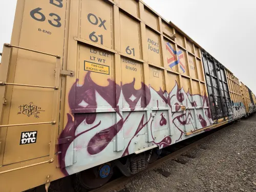 TBOX636161