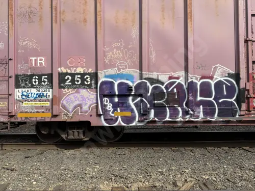 TR65253