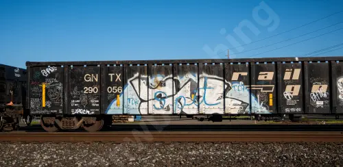GNTX290056