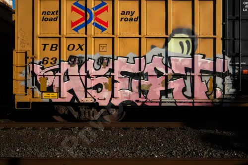 TBOX639501