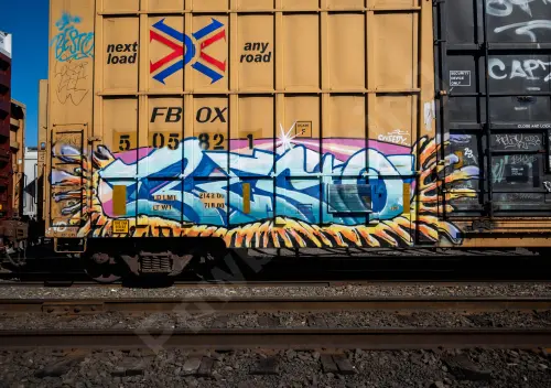 FBOX505821