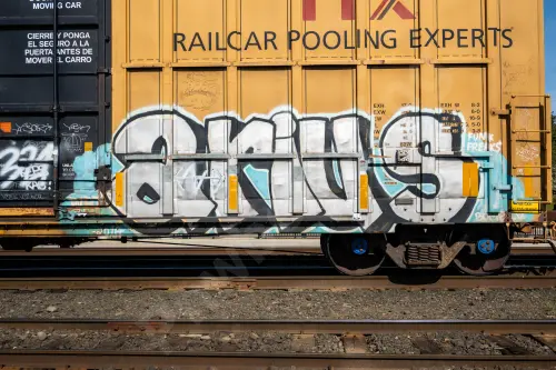 FBOX506534