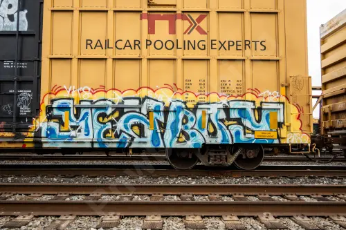 TBOX638673