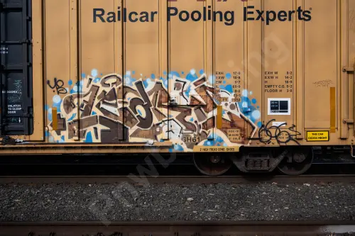 TBOX662162