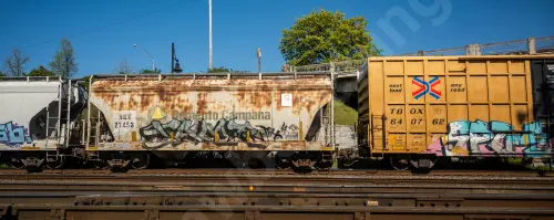 AEX21453
