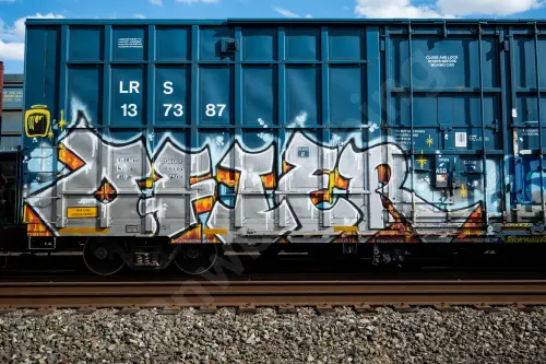 LRS137387