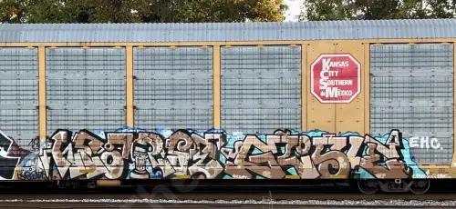 CTTX695113
