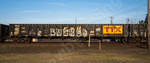 Train photo