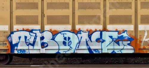 BTTX880305