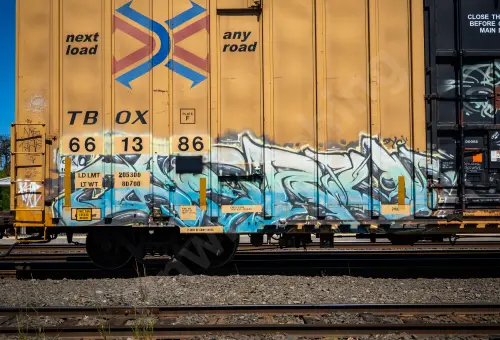 TBOX661386