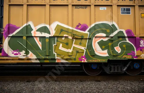 TBOX635793