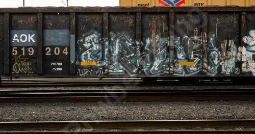 AOK519204