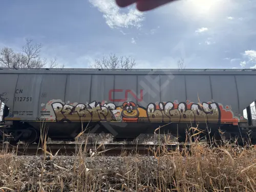 CN112751