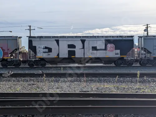 KCS67547