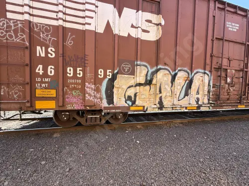 NS469595